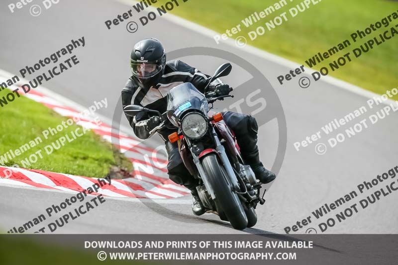 Oulton Park 21st March 2020;PJ Motorsport Photography 2020;anglesey;brands hatch;cadwell park;croft;donington park;enduro digital images;event digital images;eventdigitalimages;mallory;no limits;oulton park;peter wileman photography;racing digital images;silverstone;snetterton;trackday digital images;trackday photos;vmcc banbury run;welsh 2 day enduro